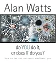 Do You Do It or Does It Do You?: How to Let the Universe Meditate You