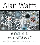 Do You Do It, or Does It Do You?: how to let the universe meditate you