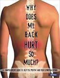 Why Does My Back Hurt So Much?