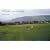 Hans van der Meer: European Fields