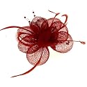 Acosta - Red Feather & Bead Mesh Corsage - Brooch / Hair Clip / Fascinator