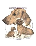 Dachshund - Trio Image by Cindy Farmer
