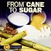 From Cane to Sugar (Start to Finish) by Jill Braithwaite