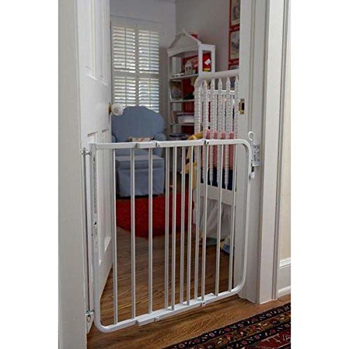 Dog Advance Positive Gates Wall Mounted NataliexAnkudinova