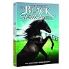 The Adventures of the Black Stallion: Season 3