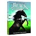 The Adventures of the Black Stallion: Season 3