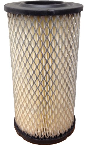 Air Intake Filter for CORAYVAC Heater, 2-Pack, Roberts-Gordon 90707000