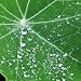 End Anxiety Attacks Self Hypnosis, Overcome Panic & Fear Guided Meditation