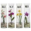 Candle Assortment 2