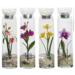 Candle Assortment 2