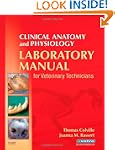 Clinical Anatomy and Physiology Labor...
