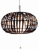 ���U�� �y���_���g���C�g P85DBR