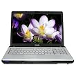 Toshiba Satellite P205-S6267 17-inch Laptop (Intel Core Duo Processor T2350, 2 GB RAM, 120 GB Hard Drive, SuperMulti DVD Drive, Vista Premium)