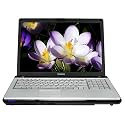 Toshiba Satellite P205-S6267 17-inch Laptop (Intel Core Duo Processor T2350, 2 GB RAM, 120 GB Hard Drive, SuperMulti DVD Drive, Vista Premium)