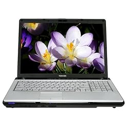 Toshiba Satellite P205-S6267 17-inch Laptop (Intel Core Duo Processor T2350, 2 GB RAM, 120 GB Hard Drive, SuperMulti DVD Drive, Vista Premium)