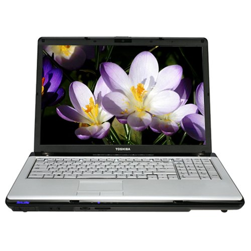 PCHardware: Toshiba Satellite P205 S6267 17