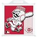 Cincinnati Reds Seat cushion 14"x14" x 1.75"