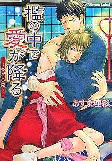 檻の中で愛が降る―命がけの恋 (プラチナ文庫)