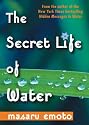 The Secret Life of Water