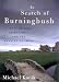 In Search of Burningbush: A Story of Golf, Friendship and the Meaning of Irons