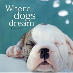 Where Dogs Dream