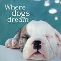 Where Dogs Dream