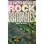 The Encyclopedia of Rock Obituaries