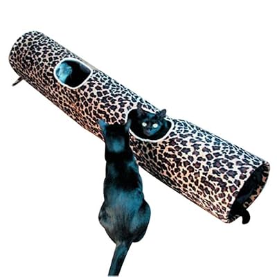 http://ecx.images-amazon.com/images/I/51M14X1KD4L._AA400_.jpg