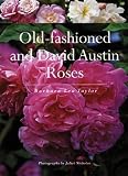 Old-Fashioned and David Austin Roses
