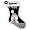 Oakland Raiders