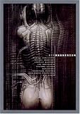Biomannerism (Japanese and English Edition)
