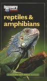 Discovery Channel: Reptiles and Amphibians: an Explore Your World Handbook (Explore Your World (Discovery))
