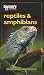 Discovery Channel: Reptiles & Amphibians: an Explore Your World Handbook (Explore Your World (Discovery))