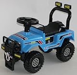 ランドクルーザー 青