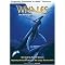 Dolphins, Whales & More--Experience the Wondrous Ocean.