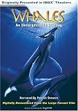 Whales - An Unforgettable Journey (Large Format)