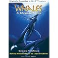 Whales - An Unforgettable Journey (Large Format)