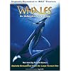 Whales - An Unforgettable Journey (Large Format)