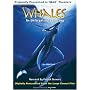 Whales - Wale/Die Giganten der Meere IMAX <b>DVD</b> ~ David Clark