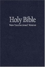 The Bible (New International Version)