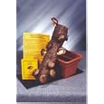 14-15" Shiitake Mushroom Log with Soaking Tray