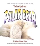 The Life Cycle of a Polar Bear