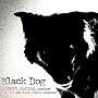 Black Dog