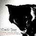 Black Dog