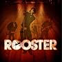 Rooster
