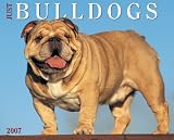 Just Bulldogs 2007 Calendar (Just)