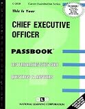 Review National Learning Corp  / Chief Executive Officer (Career Examination Series : C-2828)