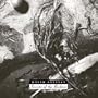 Secrets of the Beehive