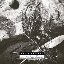 Secrets of the Beehive
