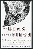 Beak of the Finch